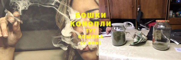 ECSTASY Сафоново