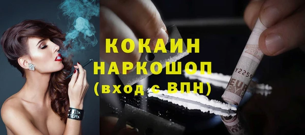 шишки Алексин