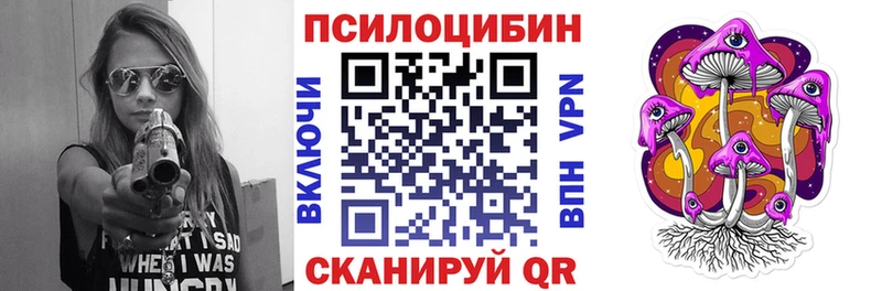дарк нет телеграм  Кашин  Псилоцибиновые грибы GOLDEN TEACHER 